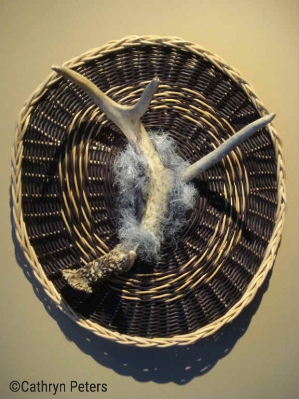 Midnight Antler Shed Wall Sculpture, woven by Cathryn Peters, features a large naturally shed whitetail deer antler circled by grey novelty yarn, and natural and dyed round rattan reed.