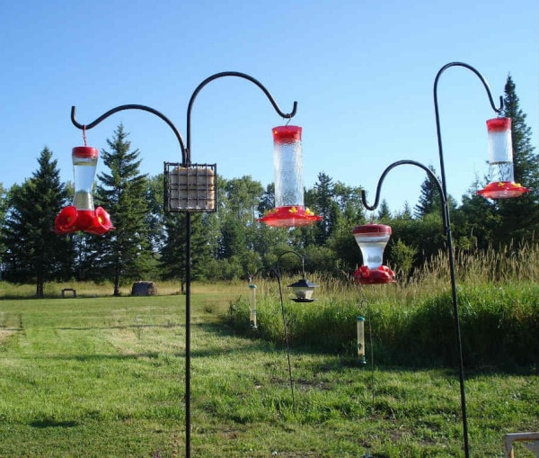 bird feeders