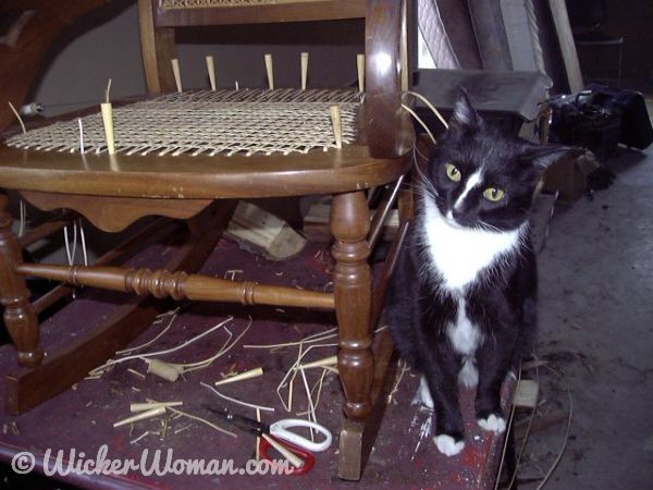 My black shop cat at work while I'm caning the rocker.
