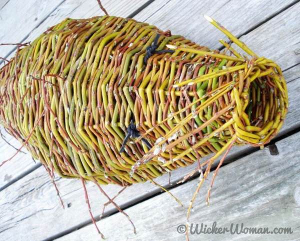 Close up detail shot of a wild willow catfish basketry sculpture woven by Cathryn Peters.
