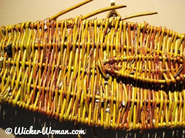 Detail shot of Yellow Fish, flat wall hanging made by Cathryn Peters out of wild willow.