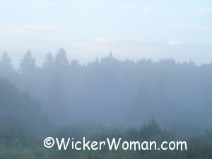 early morning fog angora 7-13