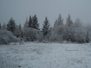 Angora first snow 10-27-11