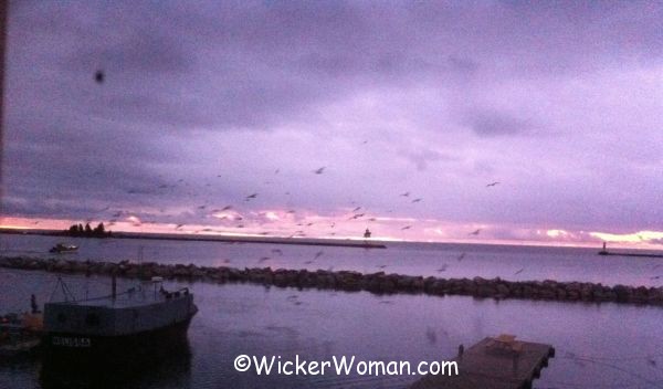 fishermen harbor grand marais mn