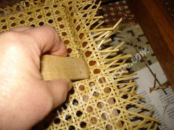 using a wooden caning wedge to press cane webbing into groove