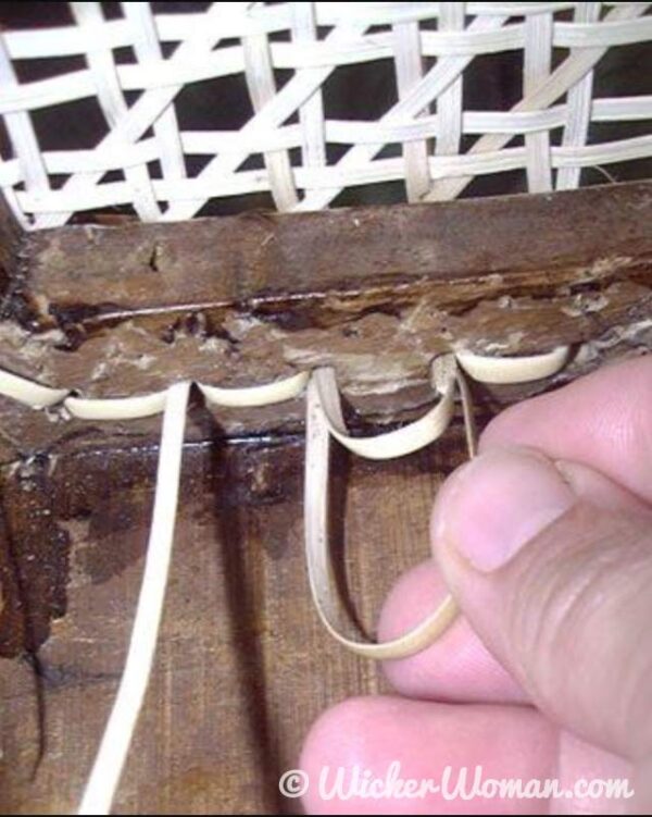 Sandwiching cane strands in "no-knot" chair caning technique.