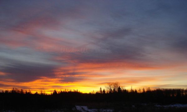 Sunrise 8 a.m. Angora, MN 2008