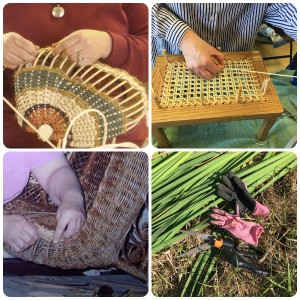 Collage image of Weaving Basics topics: basketry, seatweaving, wicker repair and cattail weaving.