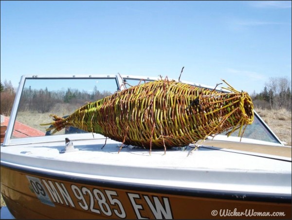 Catfish, a large wild willow basket sculpture woven by Cathryn Peters